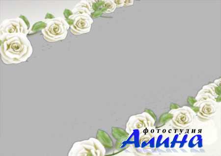 Свадебный футаж - белые розы