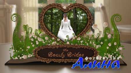 Wedding Album Pop up Book
