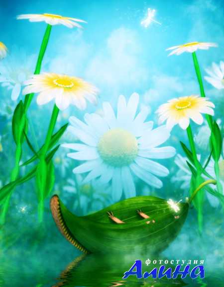 Renderosity - Background & Elements Collections