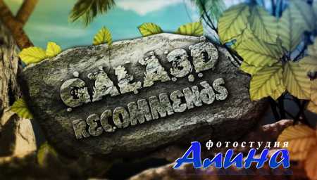 Rock Garden