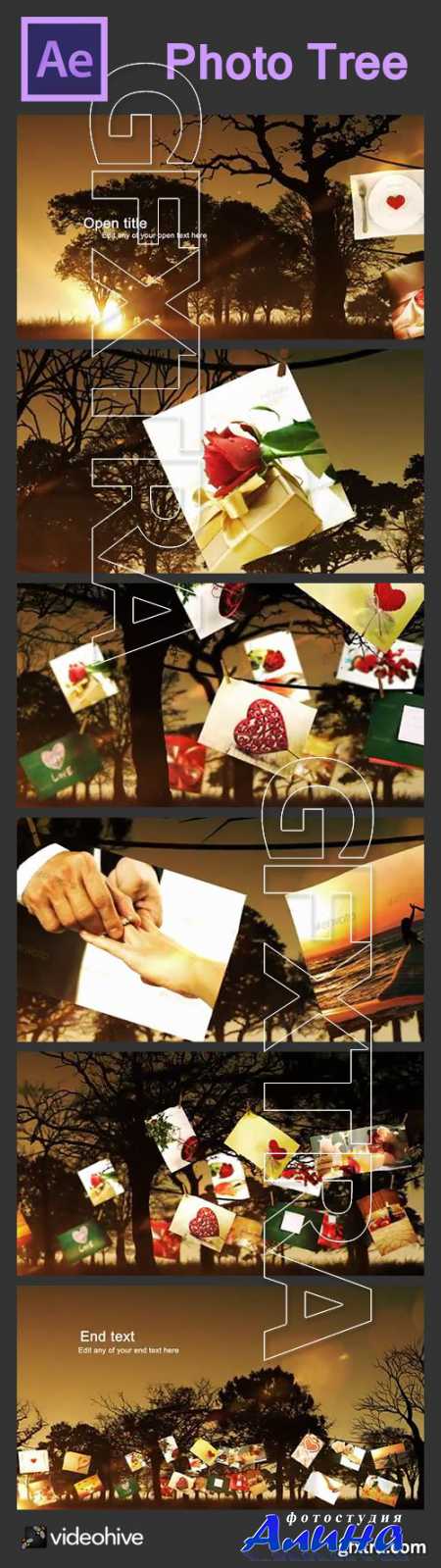 Photo Tree