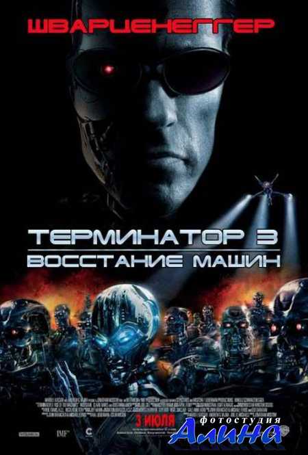Терминатор 3: Восстание машин / Terminator 3: Rise of the Machines