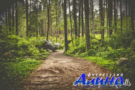 40 Cinematic Lightroom Presets