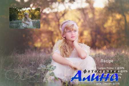 Lotus Photoshop Action Collection