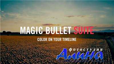Magic Bullet Suite 12
