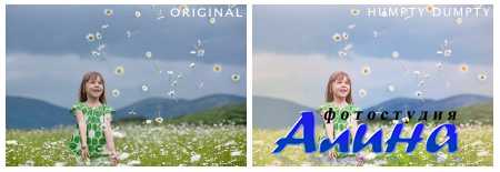 Whimsical Actions