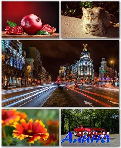 Best HD Wallpapers Pack №1167 Best HD Wallpapers Pack №1167