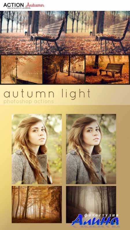 Autumn & Autumn Light