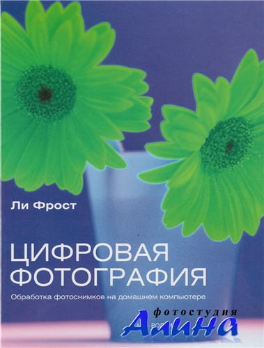 Ли Фрост  Цифровая фотография (2007) PDF
