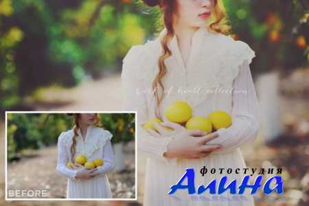 Work of Heart Collection