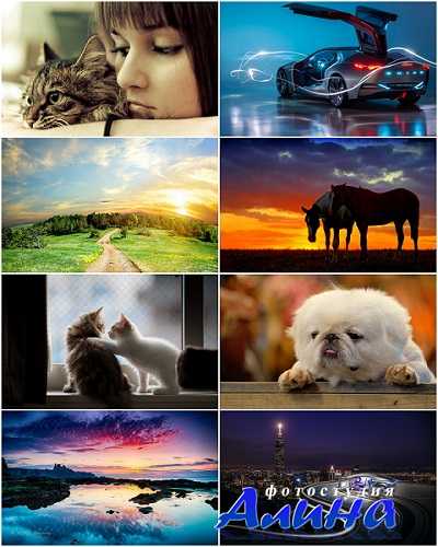 Quality collection - desktop HD wallpapers #658