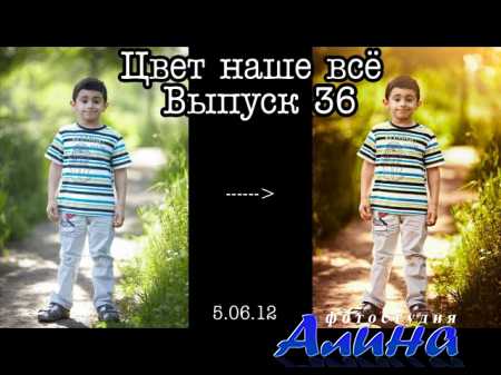 Цвет наше всё. Яркие цвет лета