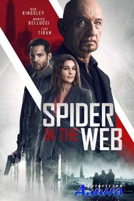 Старые шпионские игры / Spider in the Web