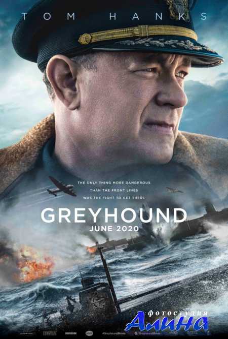 Грейхаунд / Greyhound