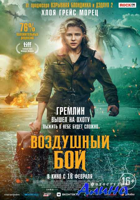 Воздушный бой / Shadow in the Cloud