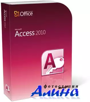 Microsoft Access 2010 In Depth